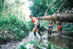 BIB: 
                            <button type="button" onclick="openModal(25442686)" class="btn btn-primary btn-sm float-right btn-popup" data-toggle="modal" data-target=".modal-high-quality">
                        <i class="fas fa-shopping-cart"></i> Add to Cart
                    </button>
                                            <button type="button" onclick="isThisMe(25442686, true)" class="btn btn-success btn-sm float-right btn-popup btn-isme hidden" data-toggle="tooltip" data-placement="bottom" title="นี่คือรูปของคุณใช่ไหม คลิกที่นี่เพื่อเอาเข้าอัลบั้ม">
                        <i class="fas fa-plus"></i> Add to album
                    </button>
                    <button type="button" onclick="isThisMe(25442686, false)" class="btn btn-warning btn-sm float-right btn-popup btn-isnotme hidden">
                        <i class="fas fa-ban"></i> Remove from album
                    </button>